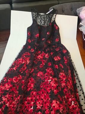 Luxe by Carmen Marc Valvo Black/Red Floral Tulle Overlay A-Line Size 2 Polka Dot